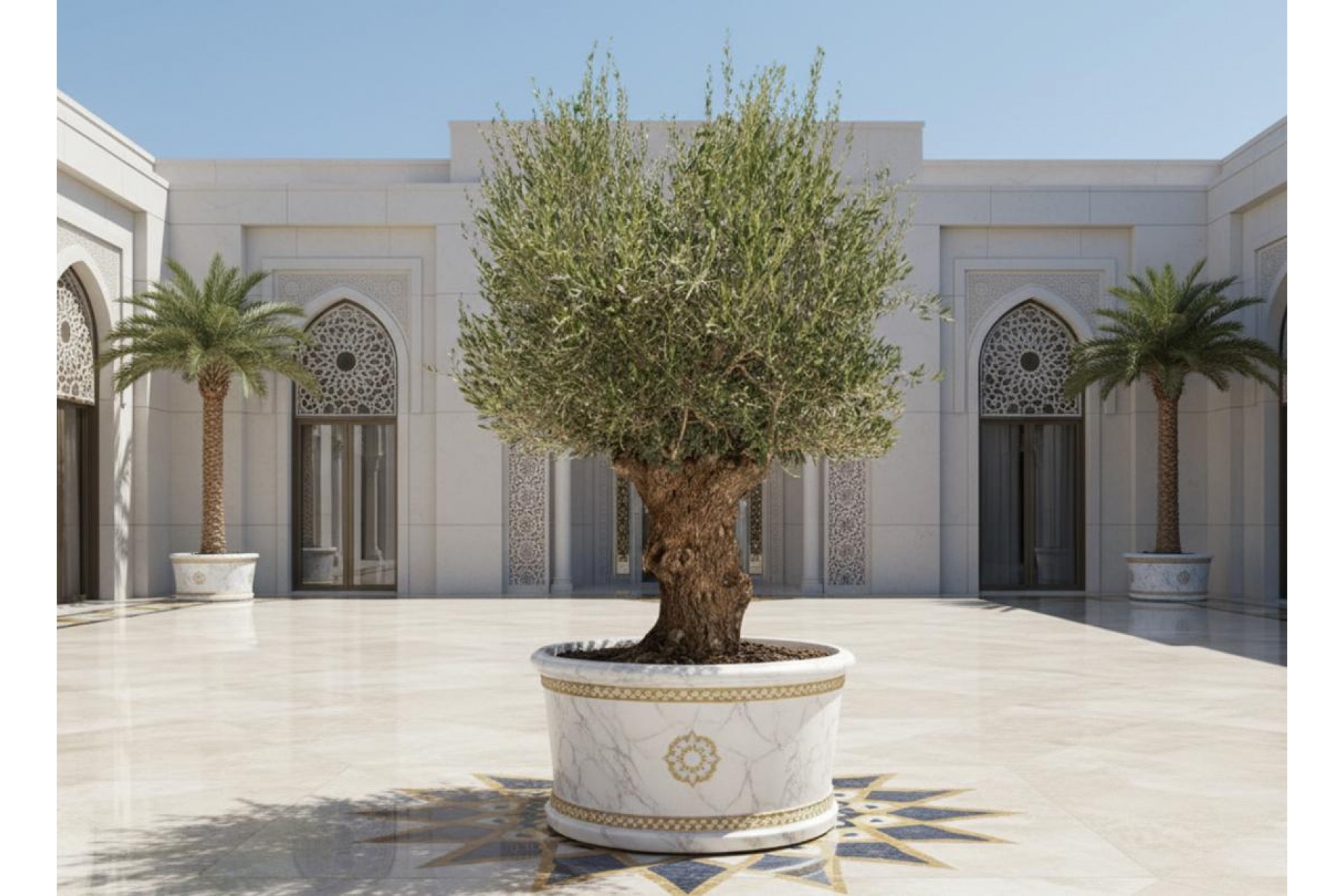 شجرة الزيتون: شجرة البركة والأصالة عبر الأديان والحضارات