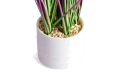  نبتة اصطناعية ملونة 