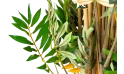   شجرة اصطناعية