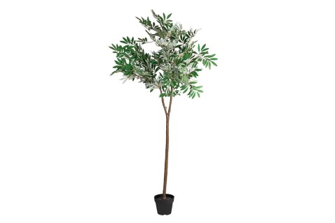  An Artificial Olive Tree
