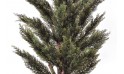 شجرة صناعية Cone