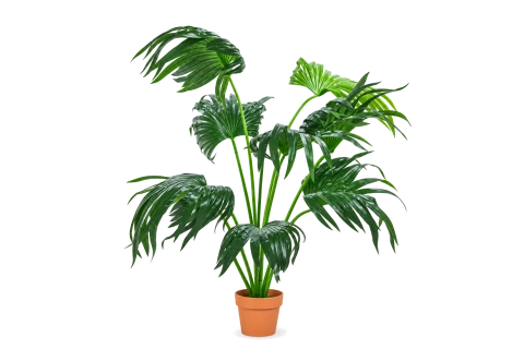 نخلة اصطناعية 