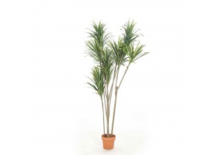 Artificial  Plant