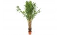 نخلة اصطناعية 