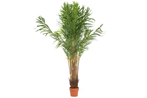  نخلة اصطناعية 