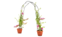 جهنمية 