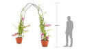 جهنمية 