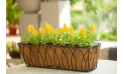 سيلوزيا أصفر