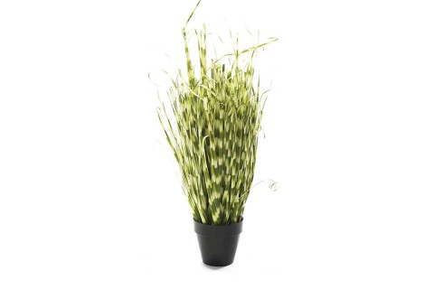  نبتة اصطناعية من البلاستيك