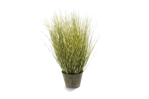 نبتة اصطناعية 