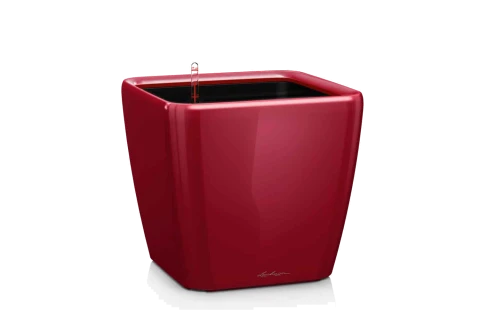 Quadro Self-Watering Planter - LECHUZA Brand 