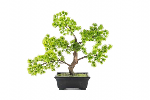 نبات اصطناعي مع حوض بلاستيك