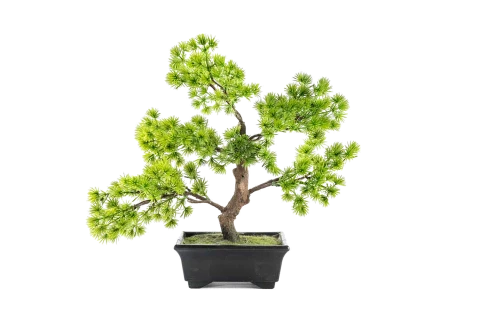 Artificial  Plant With Plastic Pot