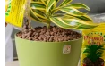 حصى فخاري