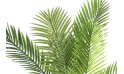 شجرة صناعية 