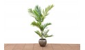 نبات صناعي 10lvs