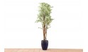 نبات صناعي Variegated Ficus 6231lvs