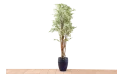 نبات صناعي Variegated Ficus 6231lvs