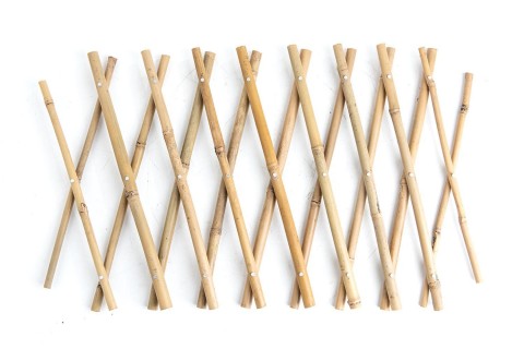 شبكة تعريشة