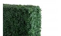 حواجز نباتات  