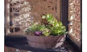  صباريات اصطناعية  مع حوض دائري خشبي
