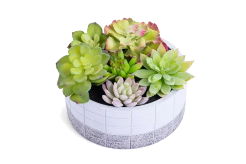 Artificial Plants 