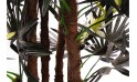 نخلة اصطناعية - ليدي بالم
