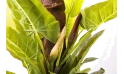 نبتة اصطناعية 