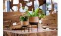 حوض فخار