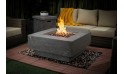 Manhattan Fire Pit With Gas Tank Cover
