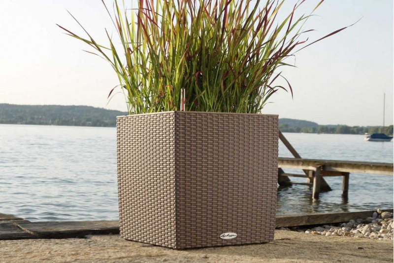 مركن كوتاج - ماركة ليتشوزا