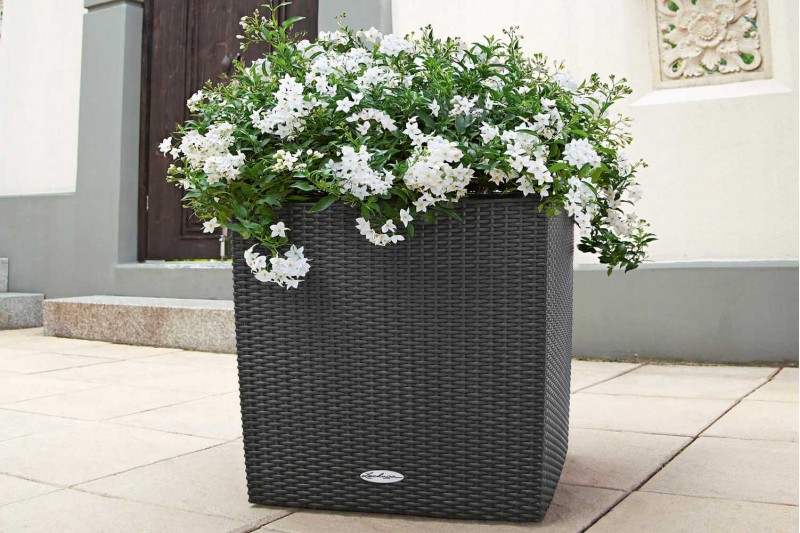 حوض الري الذاتي كوتاج - ماركة ليتشوزا 