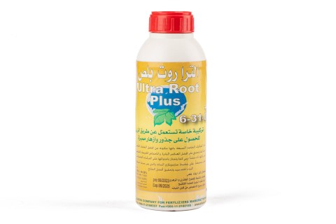  ألترا روت بلص ( 0 – 31 – 6) 