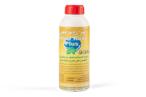  ألترا روت بلص ( 0 – 31 – 6) 