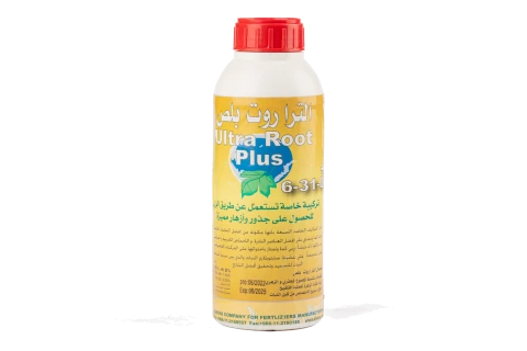 ألترا روت بلص ( 0 – 31 – 6) 