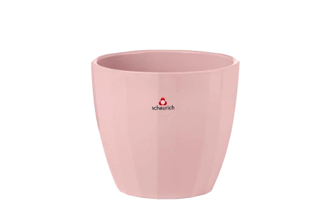 Ceramic Pot - Scheurich