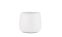 A Ceramic Pot 