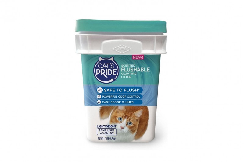 تراب فضلات متكتل ومعطر للقطط