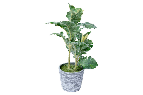 نبتة اصطناعية 