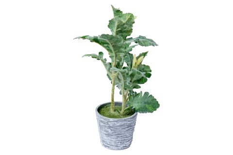 نبتة اصطناعية 