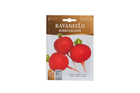 Radish seeds