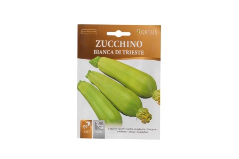 بذور الكوسا