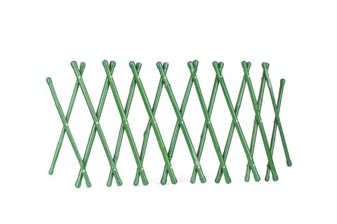 شبكة تعريشة