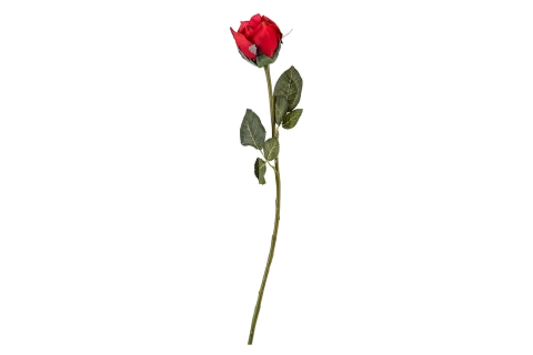 Artificial Flowers  Rose