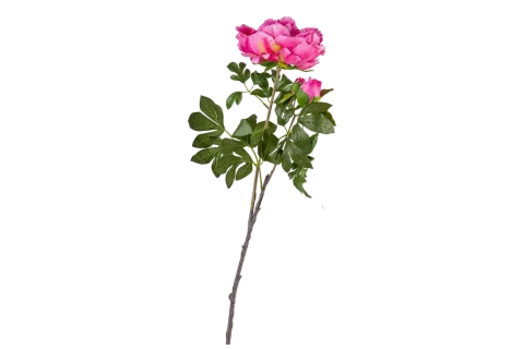 Artificial Flowers Peony