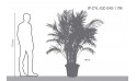أريكا 40 سم - 1.7 متر 