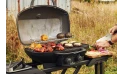 Napoleon  Phantom - Outdoor Grill