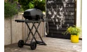 Napoleon  Phantom - Outdoor Grill