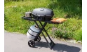 Napoleon  Phantom - Outdoor Grill