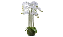 Artificial Orchid Real Touch